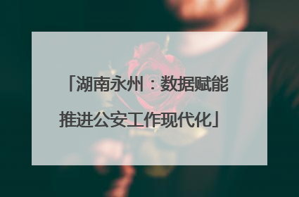湖南永州：数据赋能推进公安工作现代化