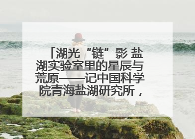 湖光“链”影 盐湖实验室里的星辰与荒原——记中国科学院青海盐湖研究所，盐湖资源化学实验室党总支书记、副主任刘忠