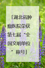 湖北省肿瘤医院荣获第七届“全国文明单位”称号