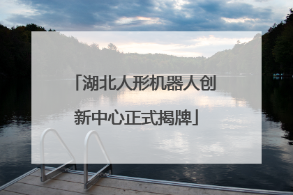 湖北人形机器人创新中心正式揭牌