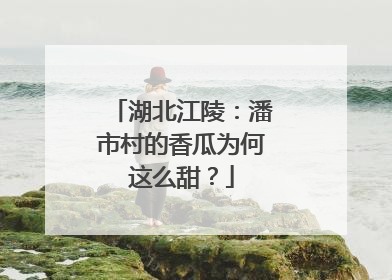 湖北江陵：潘市村的香瓜为何这么甜？