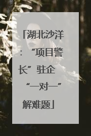 湖北沙洋：“项目警长”驻企 “一对一”解难题