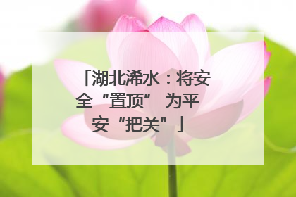 湖北浠水：将安全“置顶” 为平安“把关”