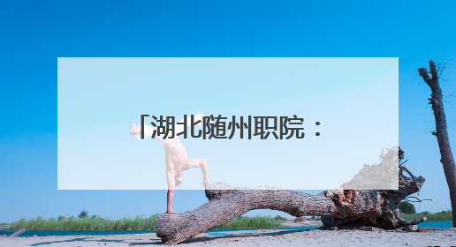 湖北随州职院：“炎之有理”宣讲团来到学生身边