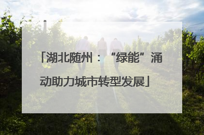 湖北随州：“绿能”涌动助力城市转型发展