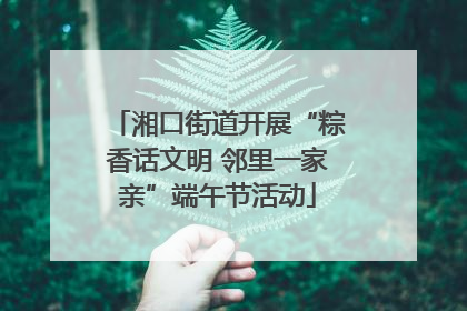 湘口街道开展“粽香话文明 邻里一家亲”端午节活动