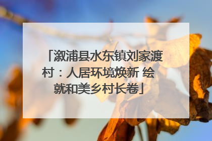 溆浦县水东镇刘家渡村：人居环境焕新 绘就和美乡村长卷