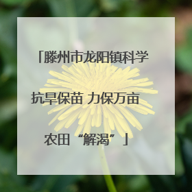 滕州市龙阳镇科学抗旱保苗 力保万亩农田“解渴”