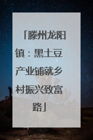 滕州龙阳镇：黑土豆产业铺就乡村振兴致富路