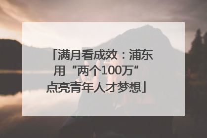 满月看成效：浦东用“两个100万”点亮青年人才梦想