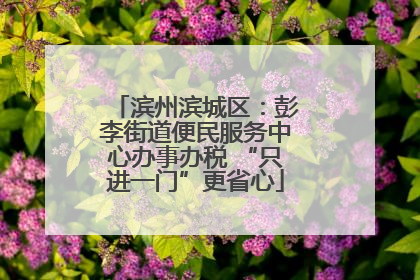滨州滨城区:彭李街道便民服务中心办事办税 “只进一门”更省心