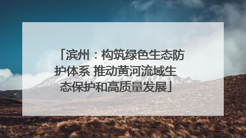 滨州：构筑绿色生态防护体系 推动黄河流域生态保护和高质量发展
