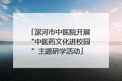 漯河市中医院开展“中医药文化进校园”主题研学活动