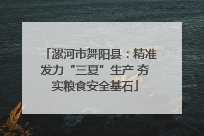 漯河市舞阳县：精准发力“三夏”生产 夯实粮食安全基石