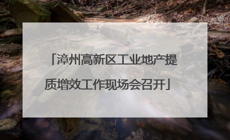 漳州高新区工业地产提质增效工作现场会召开