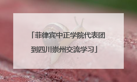 菲律宾中正学院代表团到四川崇州交流学习