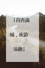 荷香满城，夜游添趣