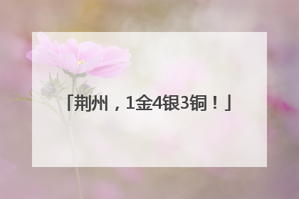 荆州，1金4银3铜！