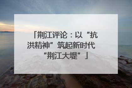 荆江评论：以“抗洪精神”筑起新时代“荆江大堤”