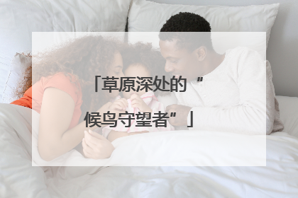 草原深处的“候鸟守望者”