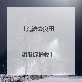荒滩变良田 甜瓜促增收