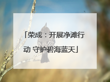 荣成：开展净滩行动 守护碧海蓝天