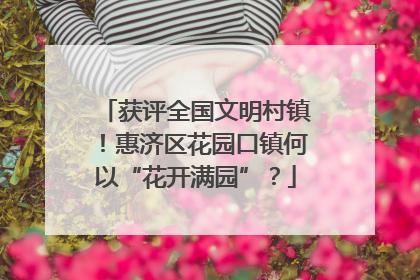 获评全国文明村镇！惠济区花园口镇何以“花开满园”？