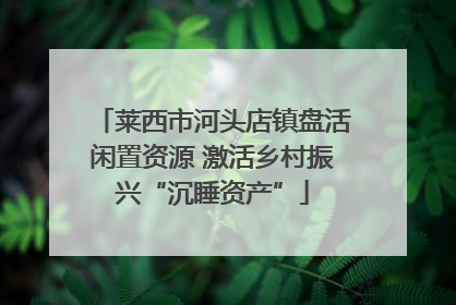 莱西市河头店镇盘活闲置资源 激活乡村振兴“沉睡资产”