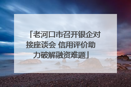 老河口市召开银企对接座谈会 信用评价助力破解融资难题