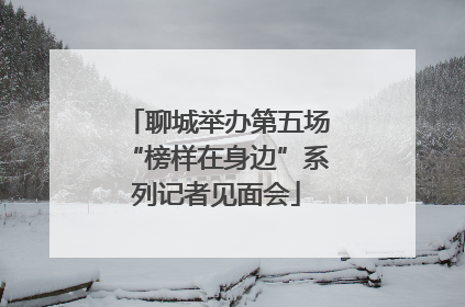 聊城举办第五场“榜样在身边”系列记者见面会