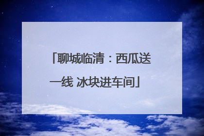 聊城临清：西瓜送一线 冰块进车间