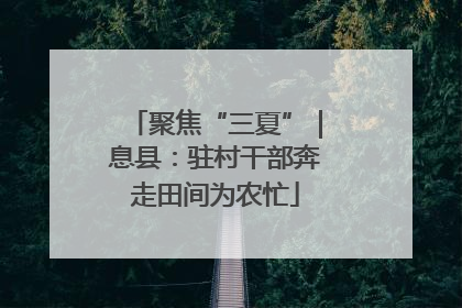聚焦“三夏”｜息县：驻村干部奔走田间为农忙