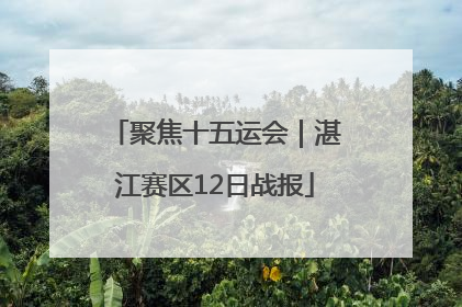 聚焦十五运会｜湛江赛区12日战报