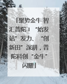 聚势金牛 智汇普陀〡“始发站”发力、“创新田”深耕，普陀科创“金牛”闪耀