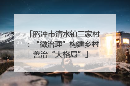 腾冲市清水镇三家村：“微治理”构建乡村善治“大格局”