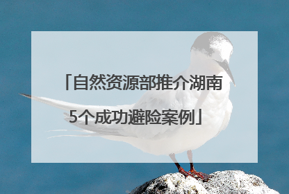 自然资源部推介湖南5个成功避险案例