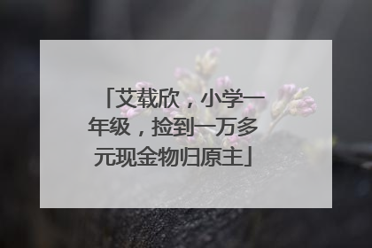 艾载欣，小学一年级，捡到一万多元现金物归原主
