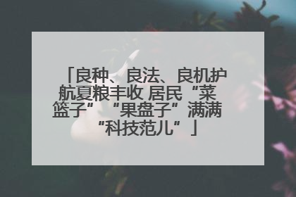 良种、良法、良机护航夏粮丰收 居民“菜篮子”“果盘子”满满“科技范儿”