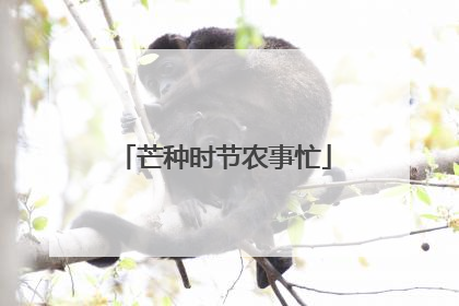 芒种时节农事忙