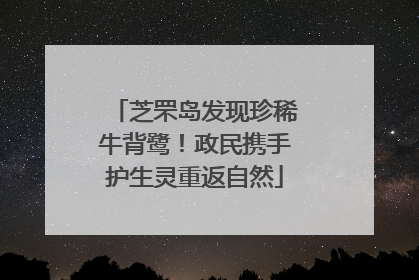 芝罘岛发现珍稀牛背鹭！政民携手护生灵重返自然