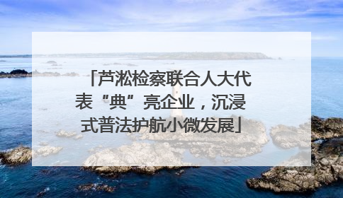 芦淞检察联合人大代表“典”亮企业，沉浸式普法护航小微发展
