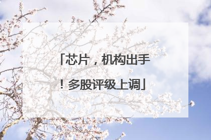 芯片，机构出手！多股评级上调