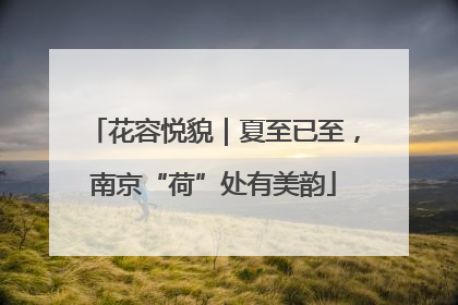 花容悦貌｜夏至已至，南京“荷”处有美韵