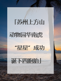 苏州上方山动物园华南虎“星星”成功诞下四胞胎