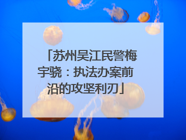 苏州吴江民警梅宇骁：执法办案前沿的攻坚利刃