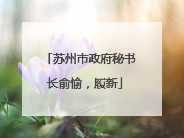 苏州市政府秘书长俞愉，履新
