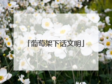 葡萄架下话文明