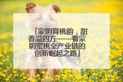 蒙阴育桃韵，甜香溢四方——看蒙阴蜜桃全产业链的创新崛起之路