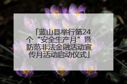 蓝山县举行第24个“安全生产月”暨防范非法金融活动宣传月活动启动仪式
