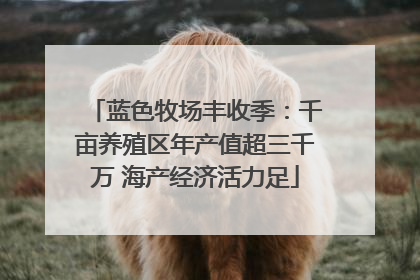 蓝色牧场丰收季：千亩养殖区年产值超三千万 海产经济活力足